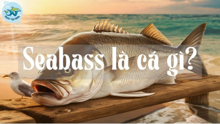 Seabass Là Cá Gì? Tìm Hiểu Toàn Diện Về Loài Cá Biển Đặc Biệt Này