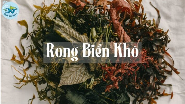 Rong Biển Khô: Giá Trị, Công Dụng và Cách Sử Dụng Hiệu Quả