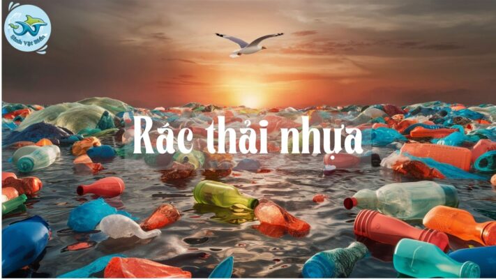 Rác Thải Nhựa: Tác Động và Hướng Giải Quyết