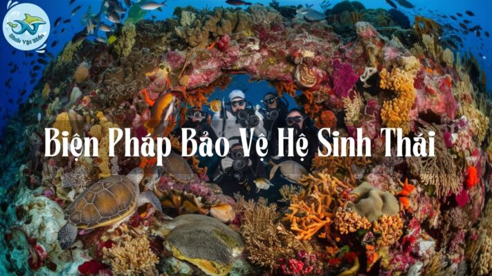 Biện Pháp Bảo Vệ Hệ Sinh Thái: Đem Lại Tương Lai Bền Vững