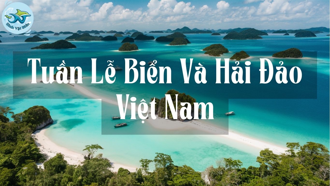 Tuần Lễ Biển Và Hải Đảo Việt Nam