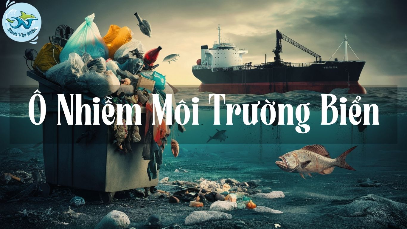 Ô Nhiễm Môi Trường Biển: Nguyên Nhân, Hệ Lụy và Giải Pháp