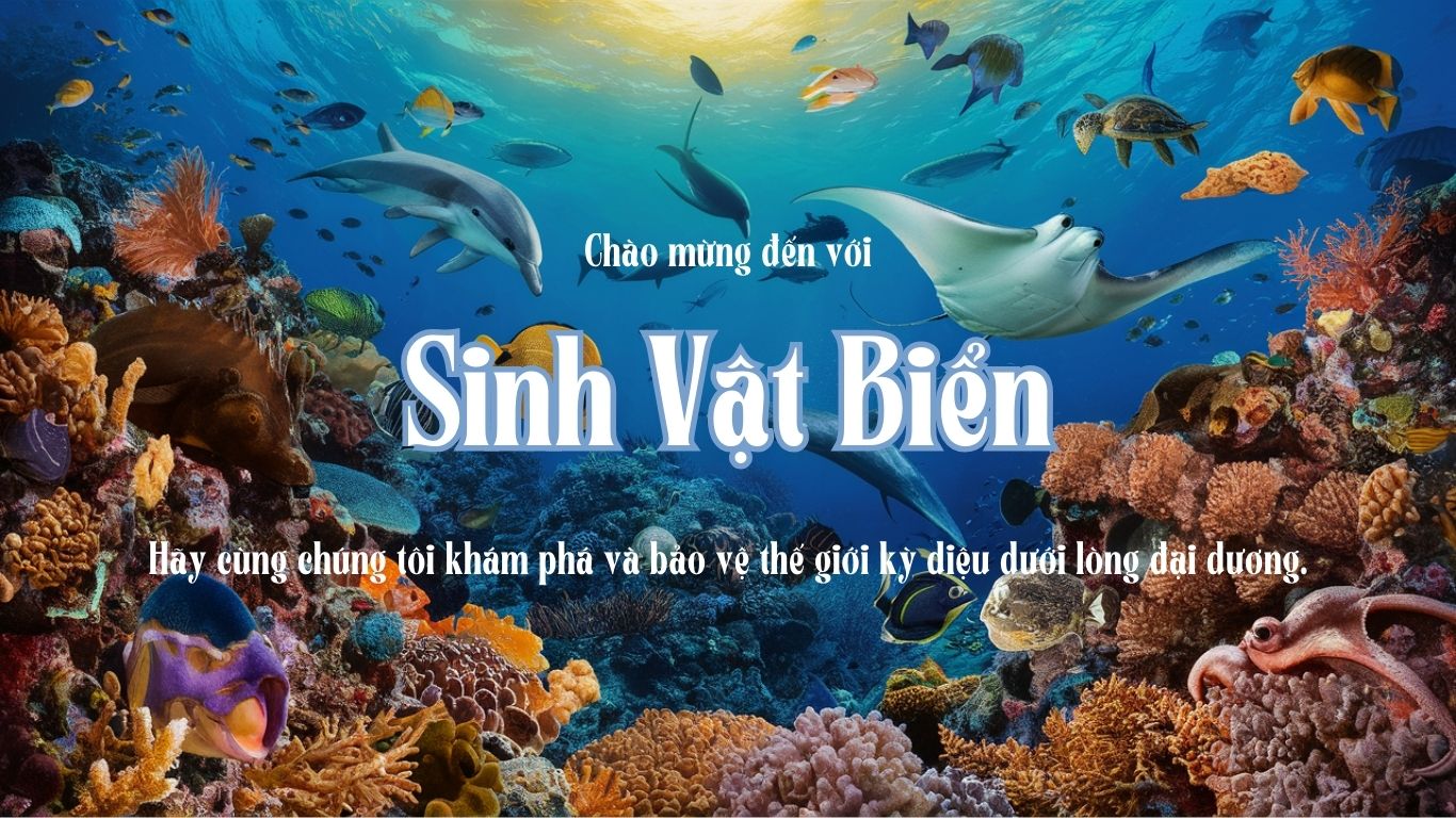 Sinh Vật Biển