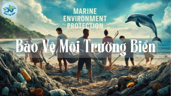 Bảo Vệ Môi Trường Biển: Tương Lai Bền Vững Cho Đại Dương